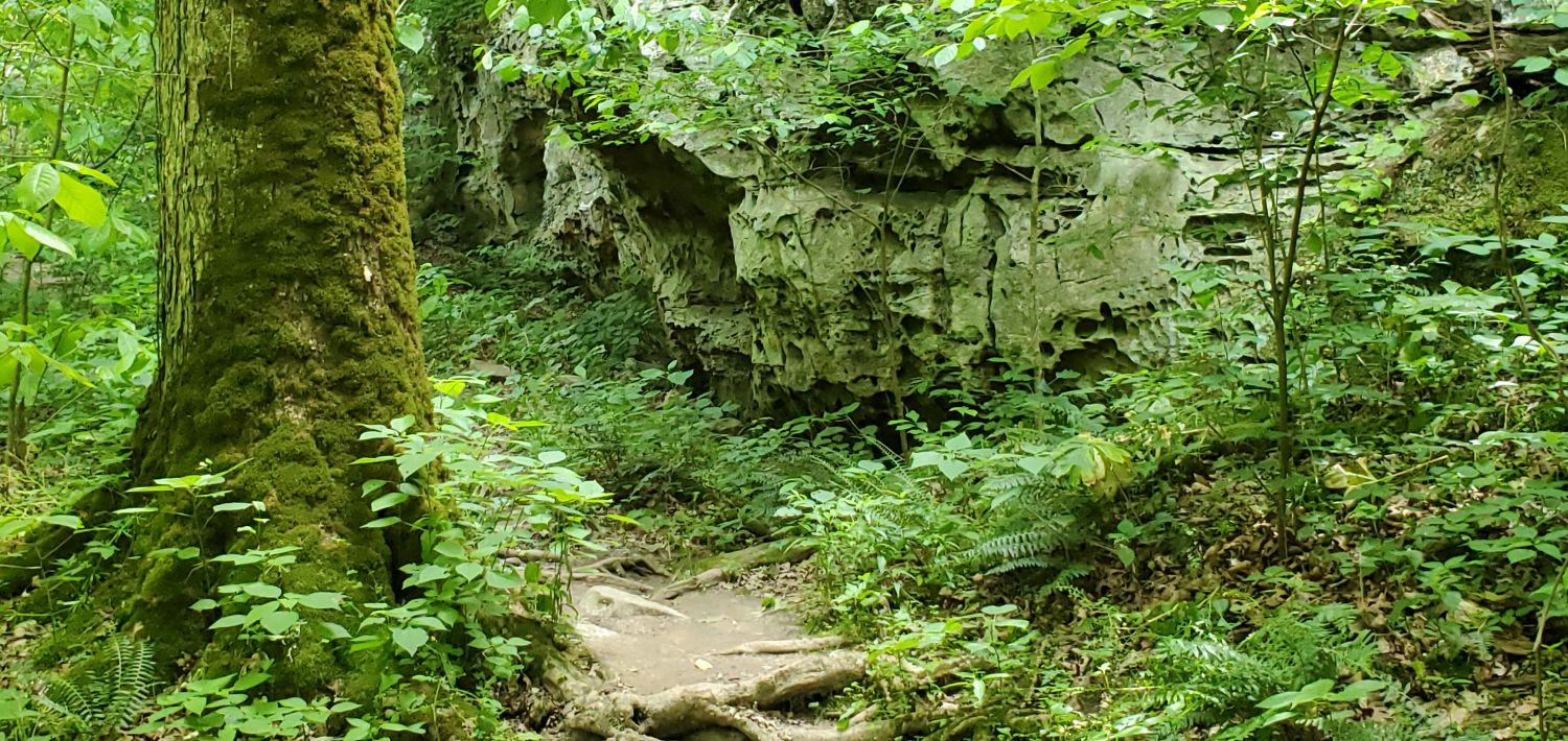 Giant City SP - Trillium Trail 